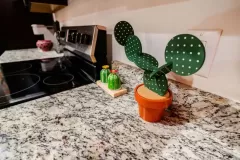 flor_del_desierto_05