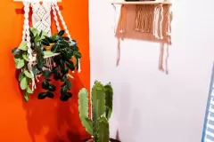 flor_del_desierto_11